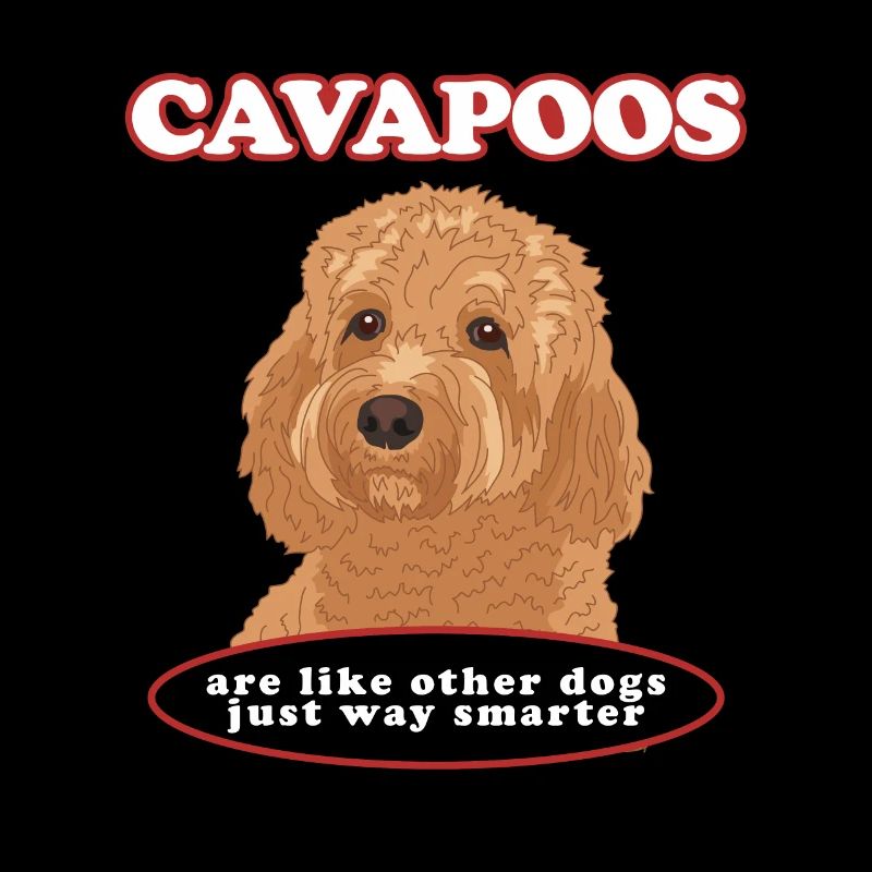 Cavapoo Hund Cavoodle Hundebesitzer Geschenk