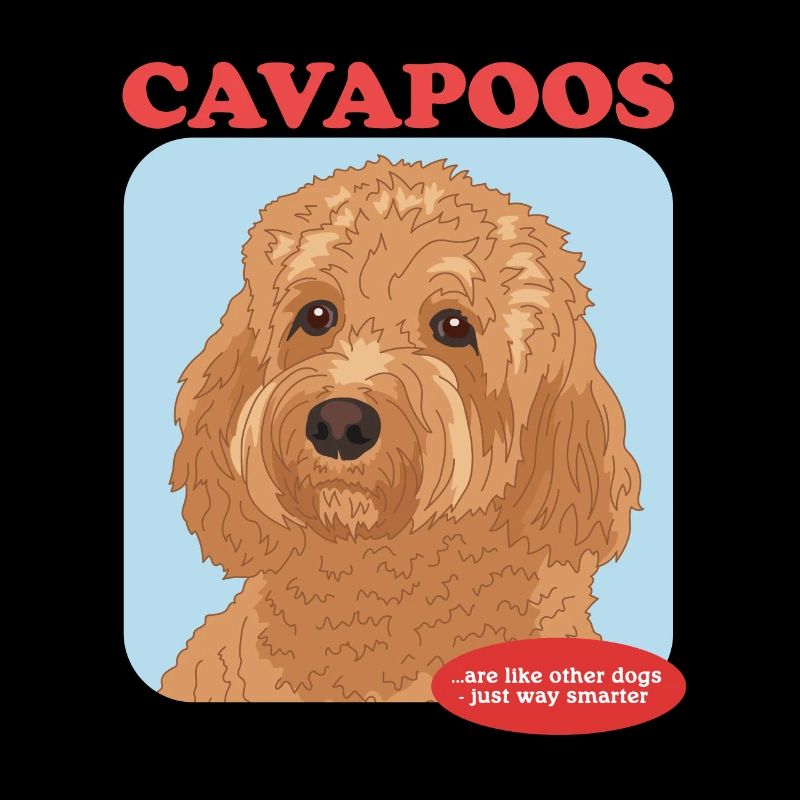 Cavapoo Hunde Cavoodle Hundebesitzer Geschenk