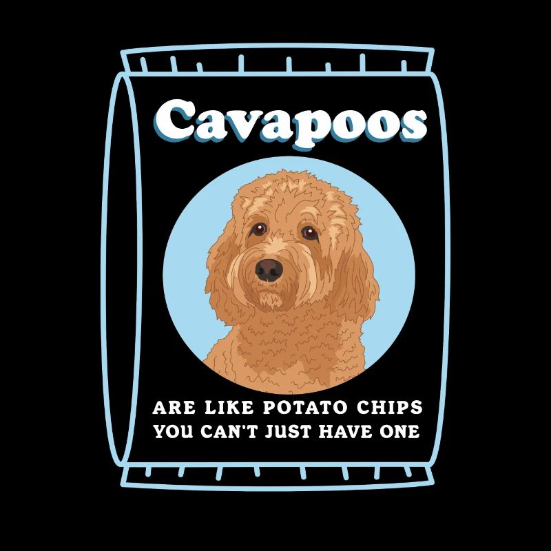 Cavapoo Dog | Cavoodle Dog Owner Gift