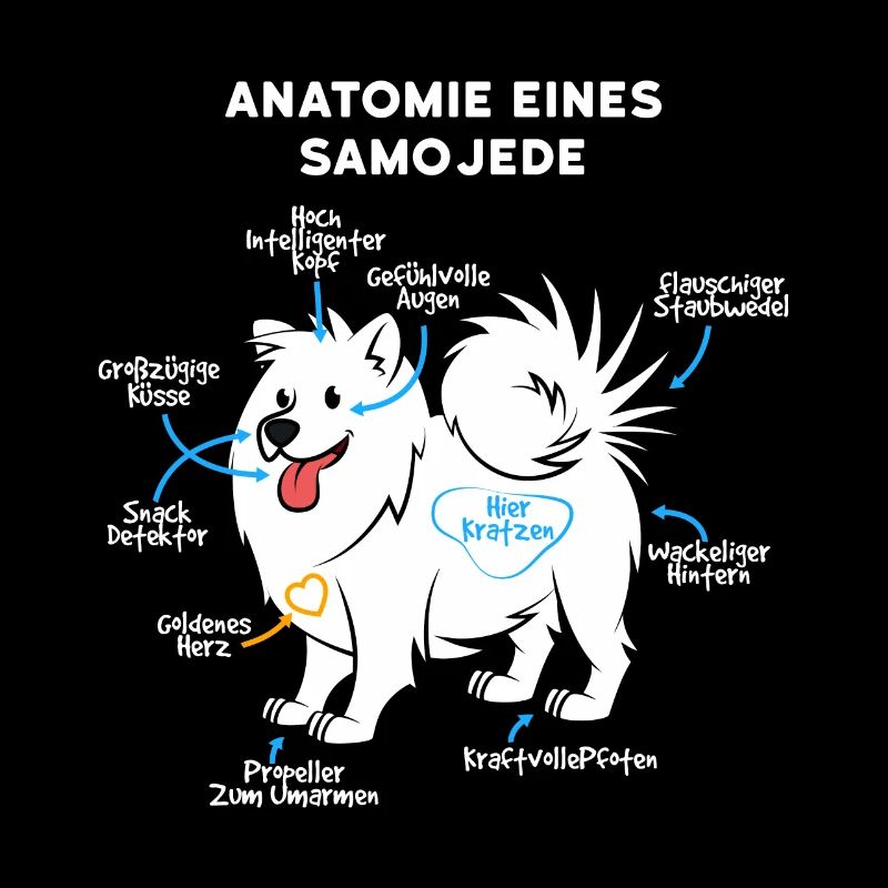 Anatomie Eines Samojede