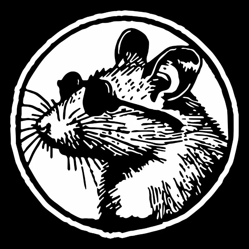 Mouse Rat
