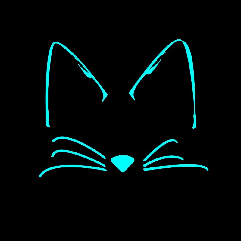 Chats chat mignon