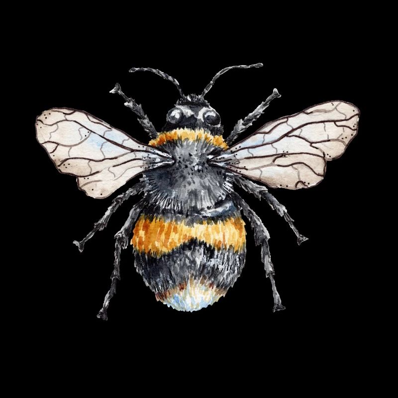Bee Happy