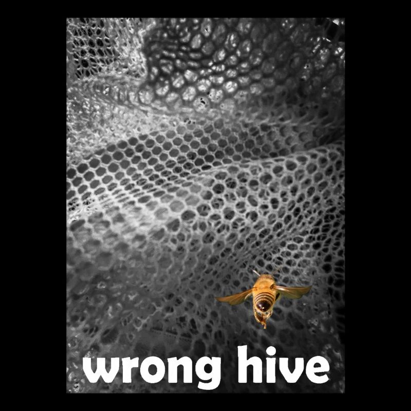 Wrong Hive