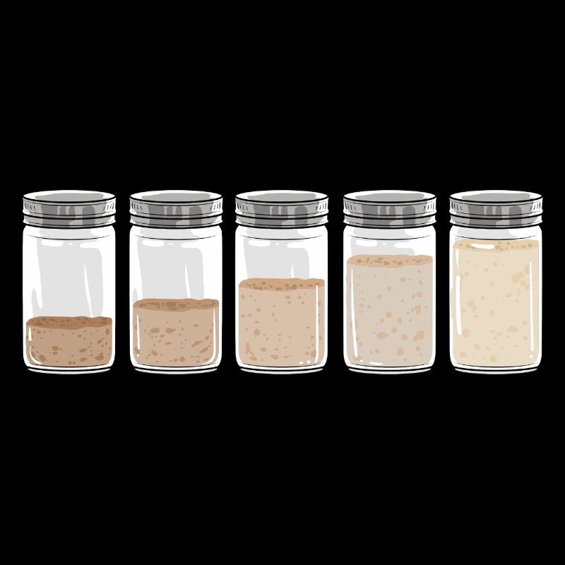 Sourdough I Sourdough Starter Evolution I Bread