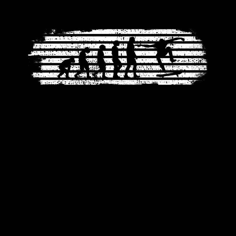 Skateboard Evolution