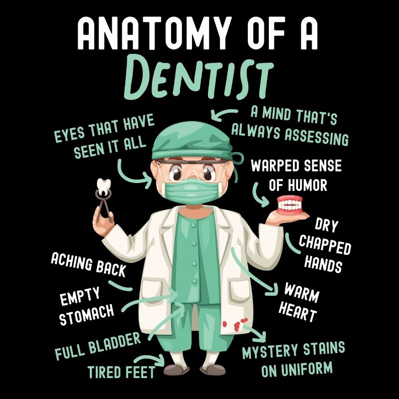 Dentiste Anatomie Anatomie d’un