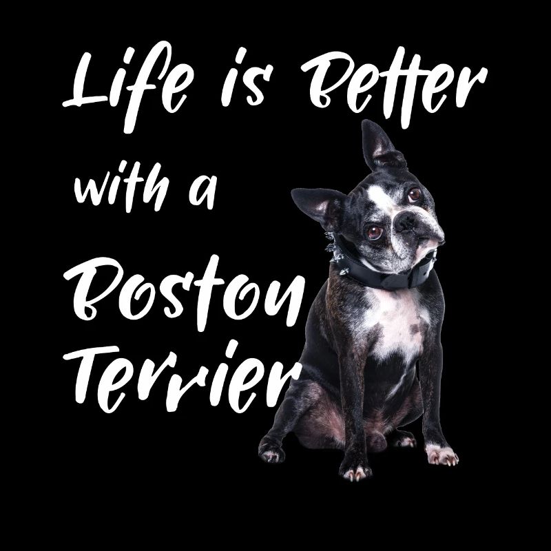 Life Is Better With A Boston Terrier
