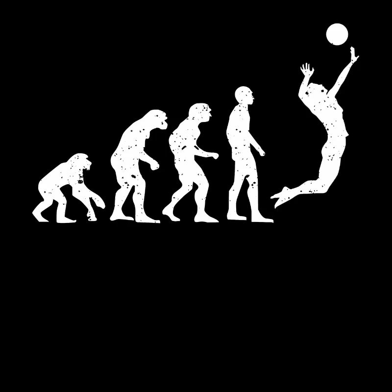VOLLEYBALLEVOLUTION!