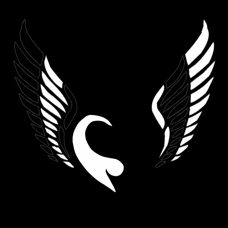 Triangle coeur ailes noir blanc