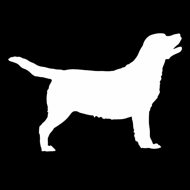 Labrador