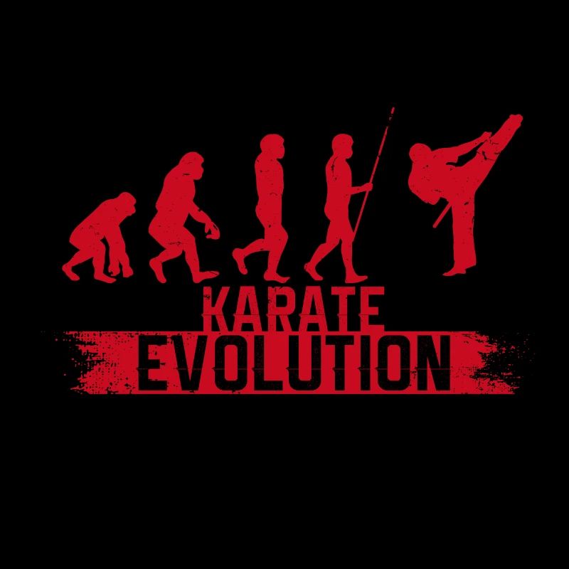 Évolution du karaté