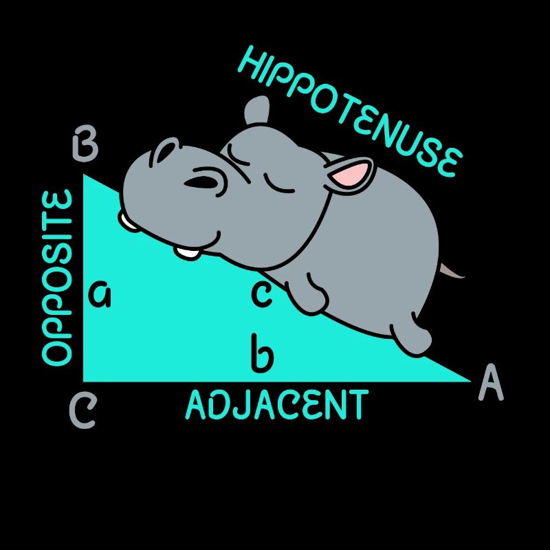 Hippoténuse math maths professeur de mathématiques blague