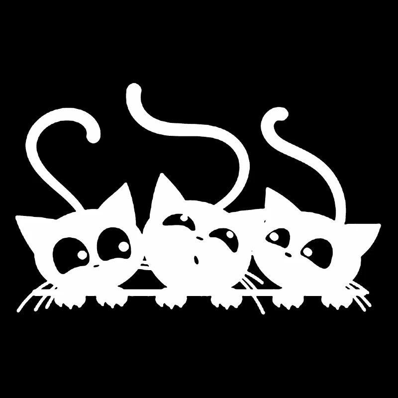 three cats