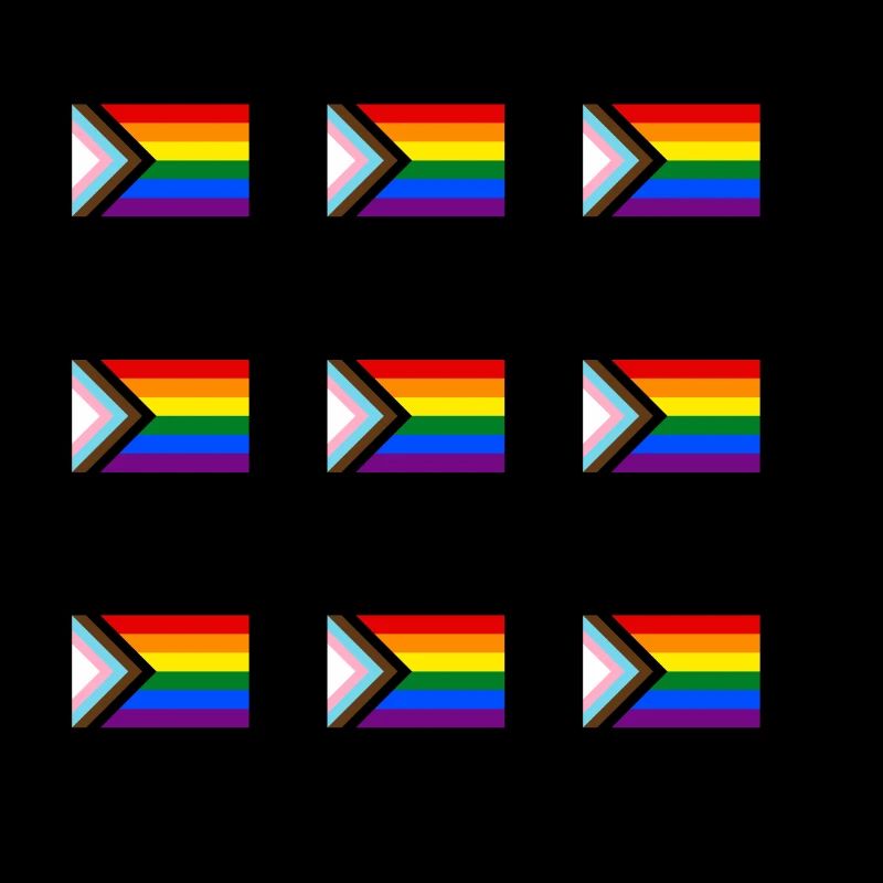 Drapeau de la Fierté du Progrès