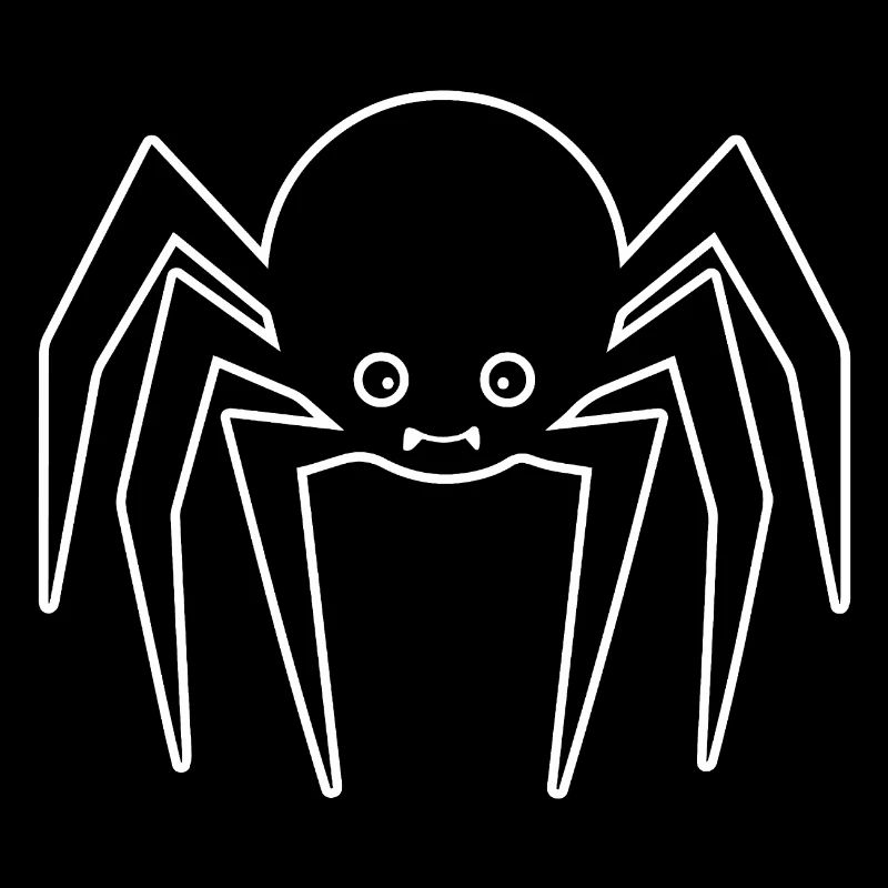 Spider spiders animals