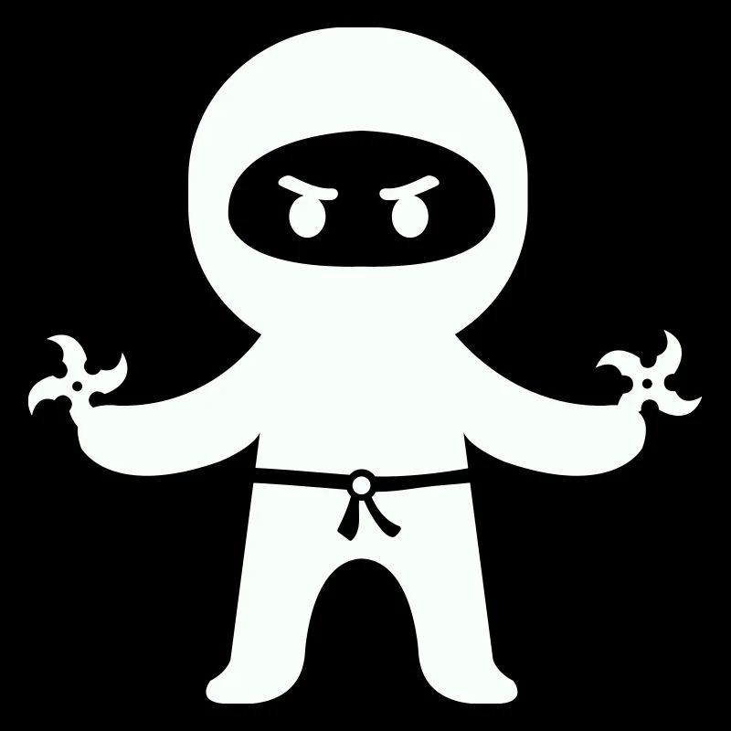 Ninja 1