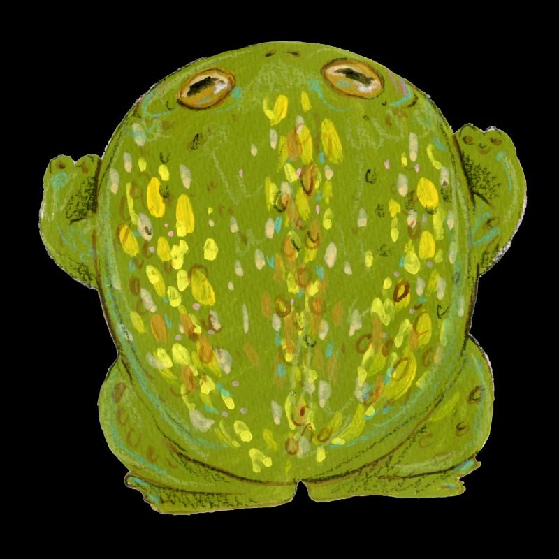 Grenouille Crapaud herbe verte