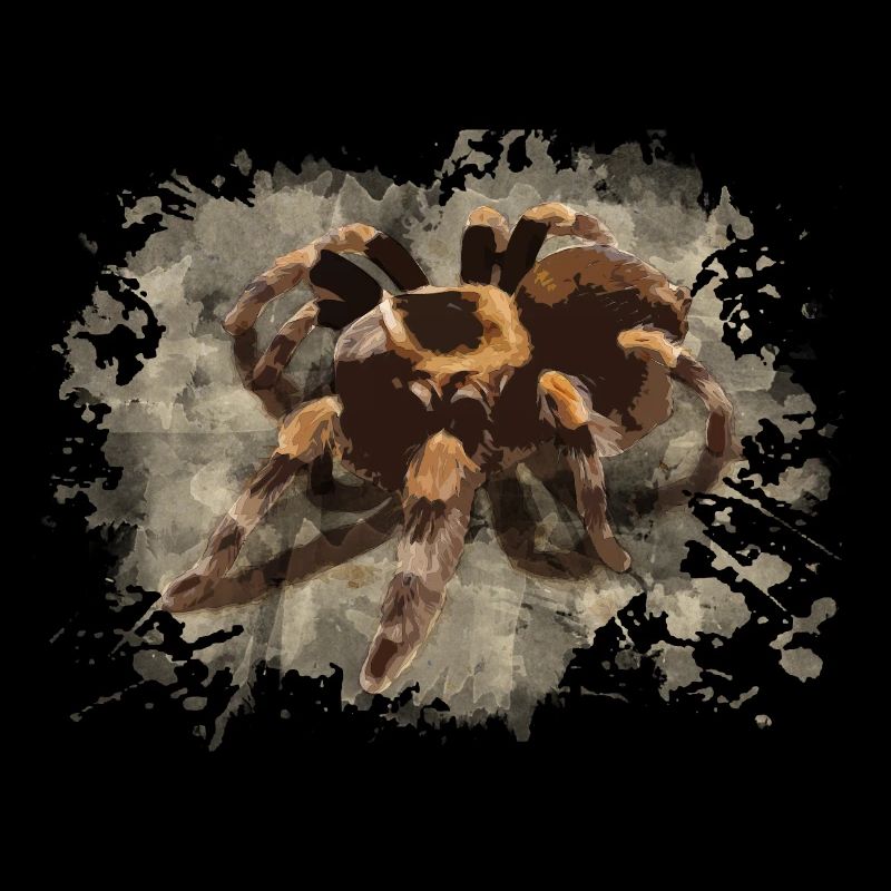 Tarentule araignée