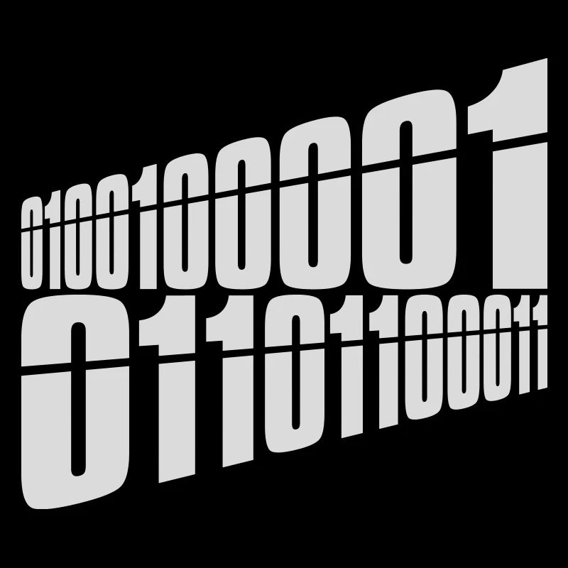 Binary Code Program Language