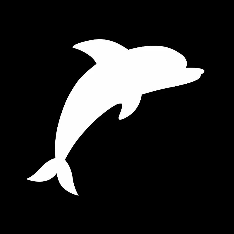 Dolphin White Gift