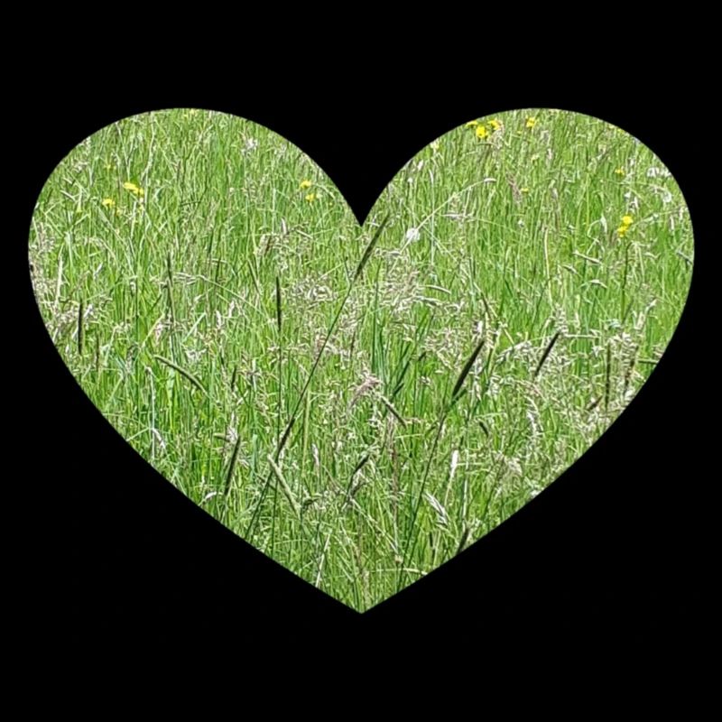 Grass heart