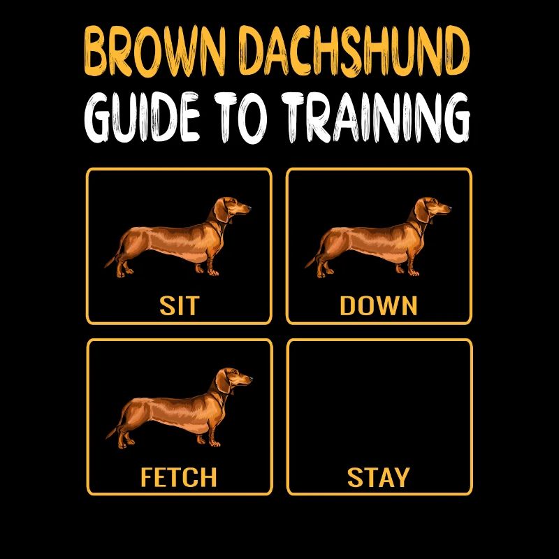 Brown Dackel Guide To Training Dog Obedience
