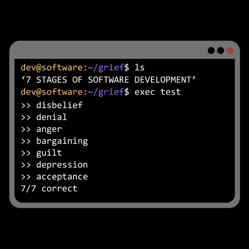 7 Stages of Software Development (Grief) - Console