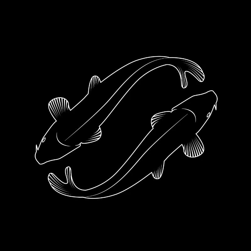 Koi carp for dark surface