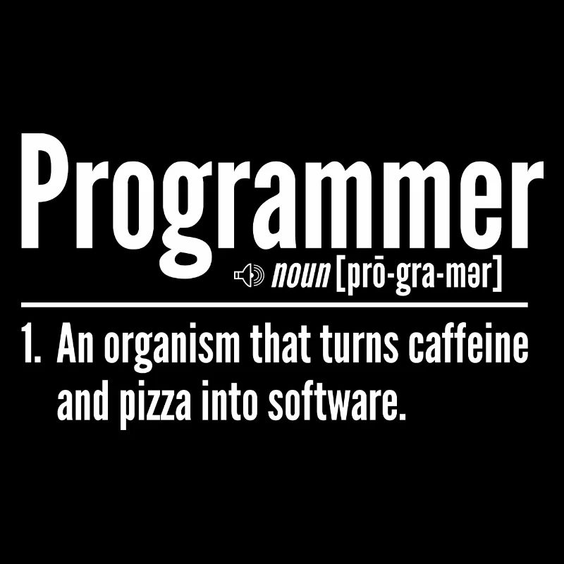 Programmierer