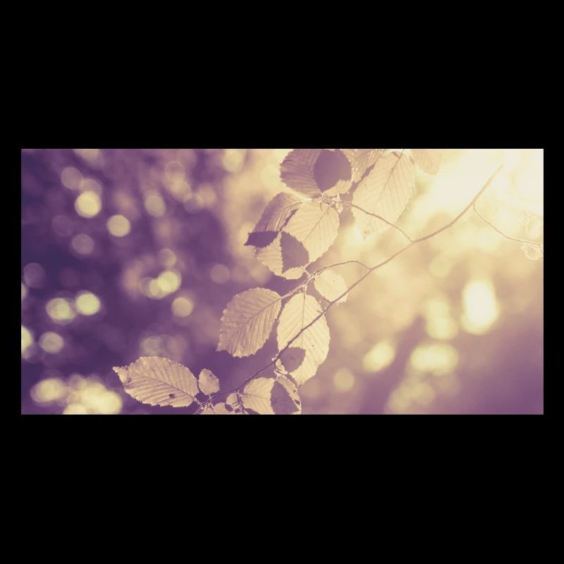 Branch in backlight