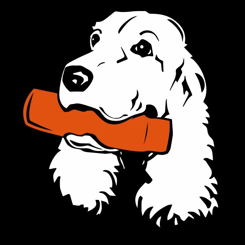 Cocker Spaniel with Dummy