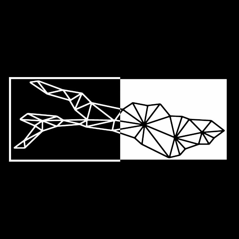 Bodensee | Polygon | Weiss