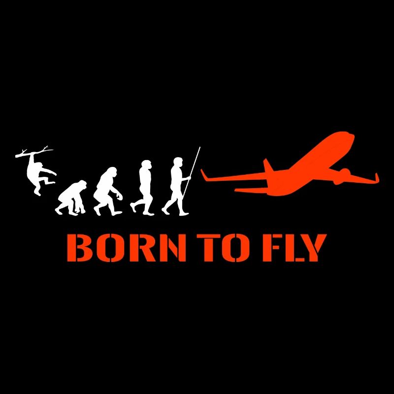 Flugzeug Pilot Evolution