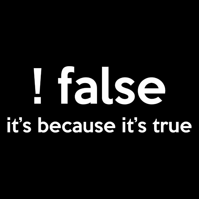 False It's Funny Because It's True Programmer Comp