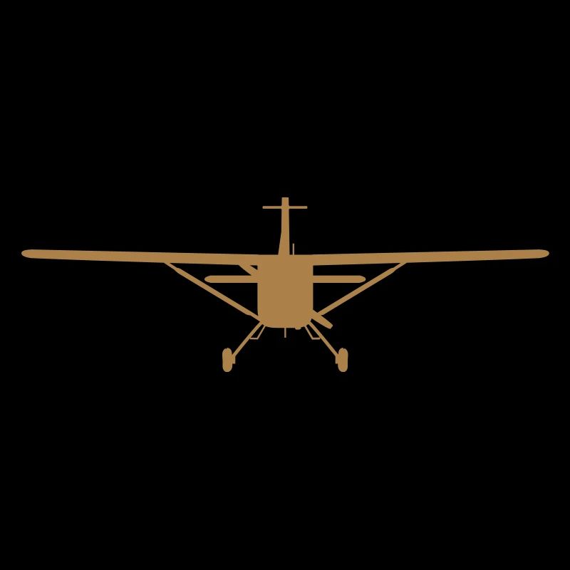 Flugzeug-Silhouette von vorn [vec]