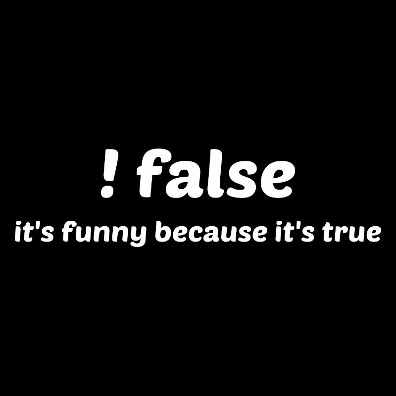 False It's Funny Because It's True Programmer Comp