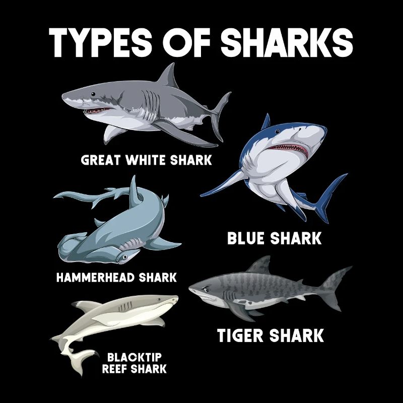 Types de requins