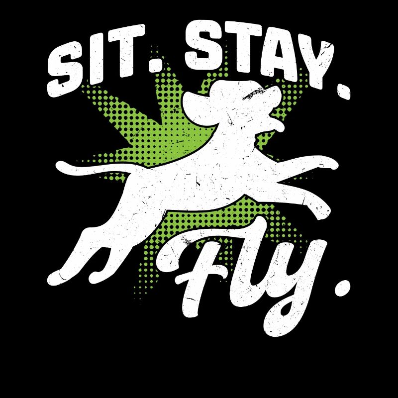 Take a . Abode. Fly. - Dock diving