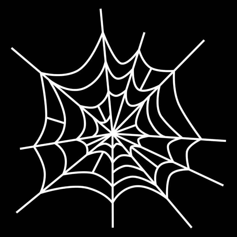 Cobweb spiderweb icon spiderweb icon