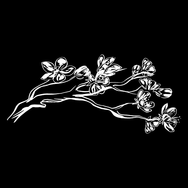 Kirschblüte