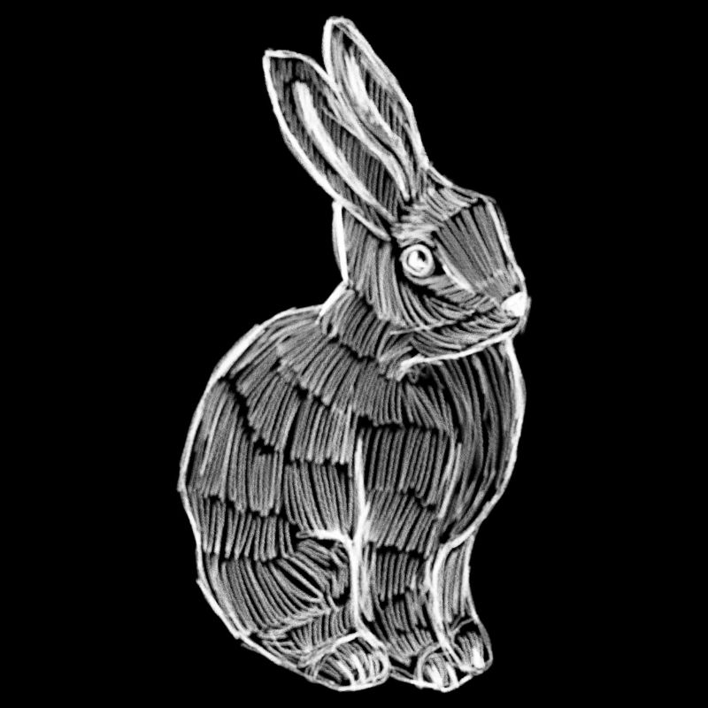 Rabbit Silhouette Spring Print