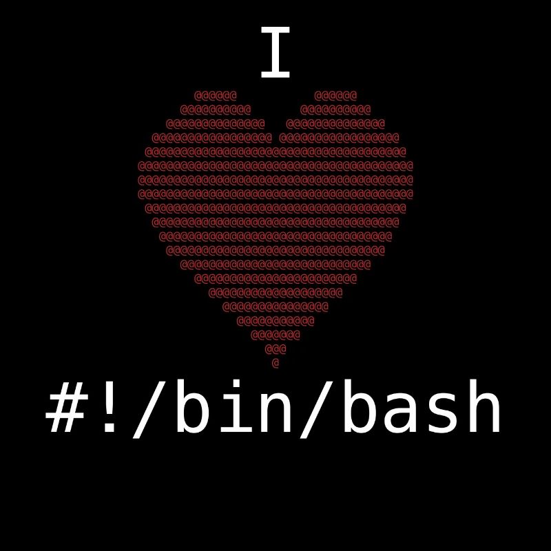 I Love Bash Administrator Developer Gift