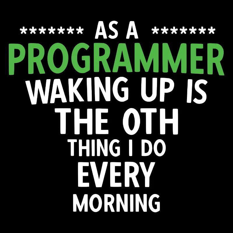 Software Ingenieur Informatiker Programmierer