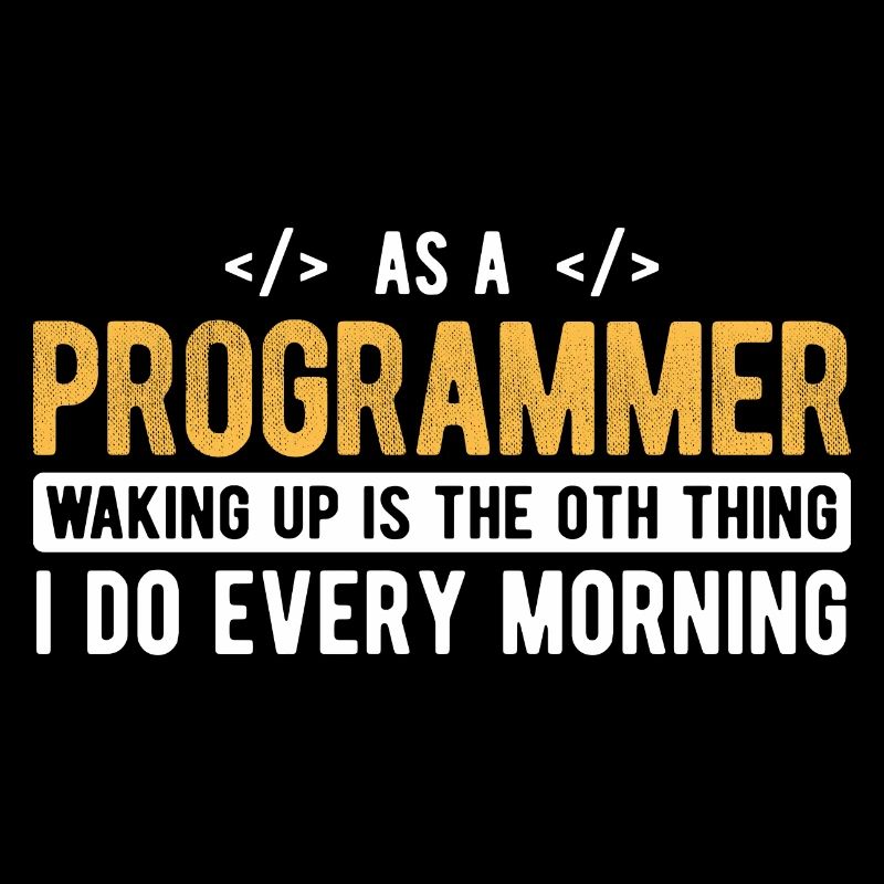 Software Ingenieur Informatiker Programmierer