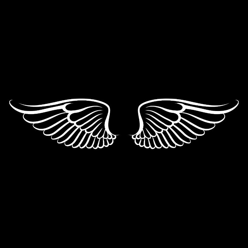Les ailes