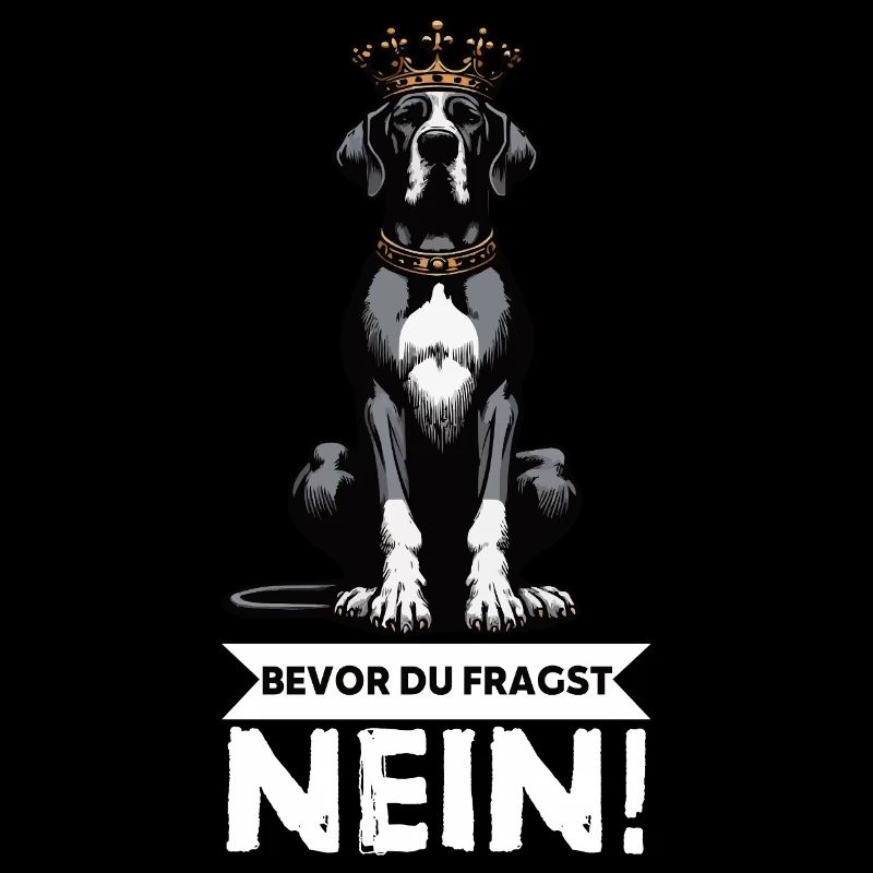 Before you ask Great Dane Great Dane owner