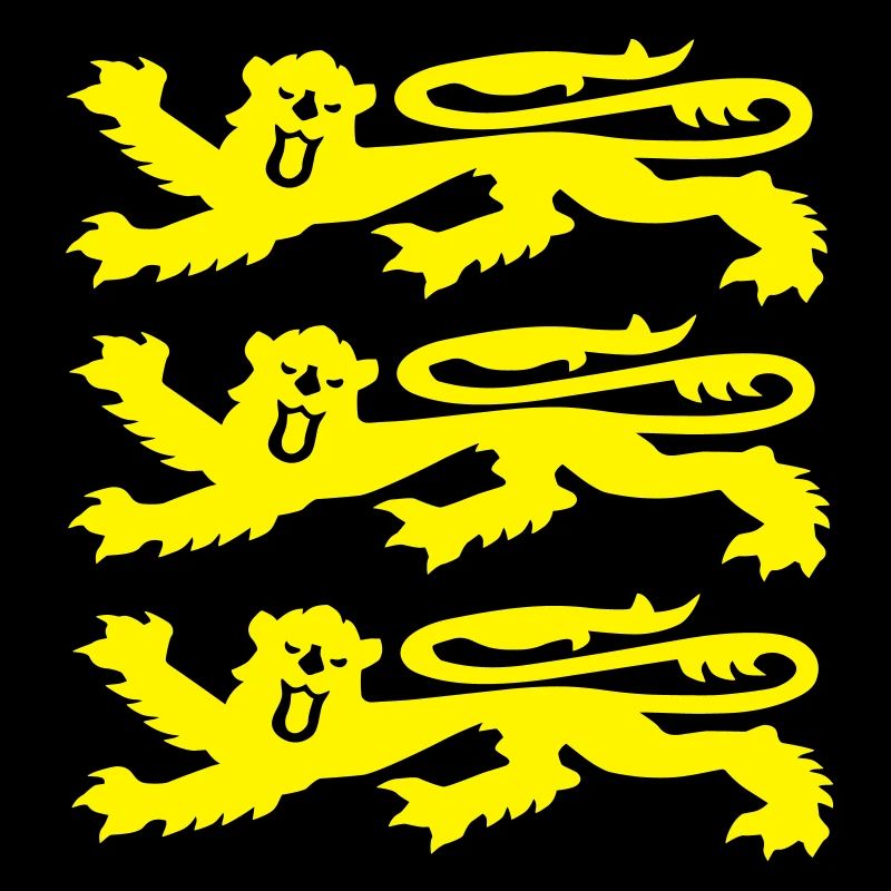 3 Lions