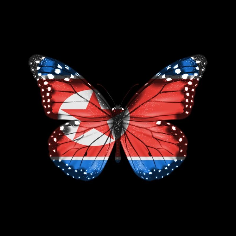Papillon Drapeau De La Corée Du Nord