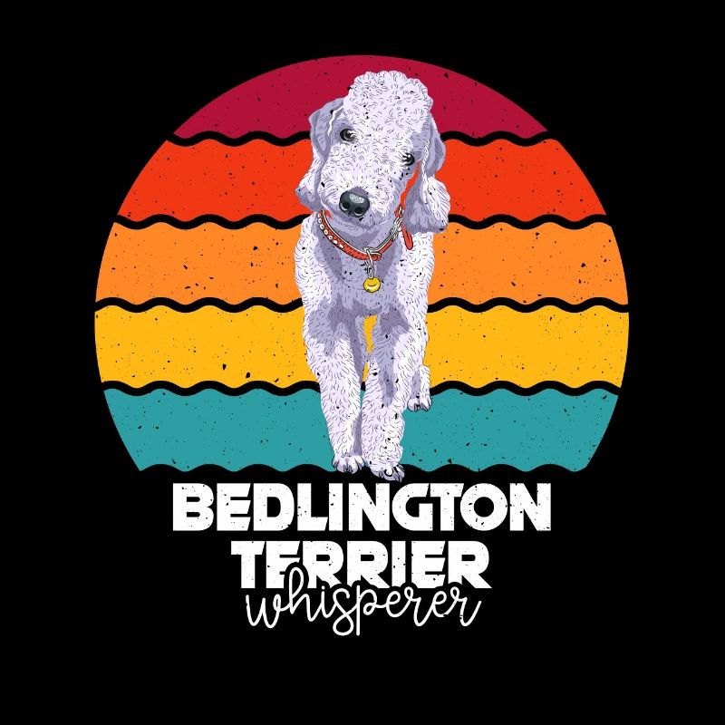 Bedlington Terrier